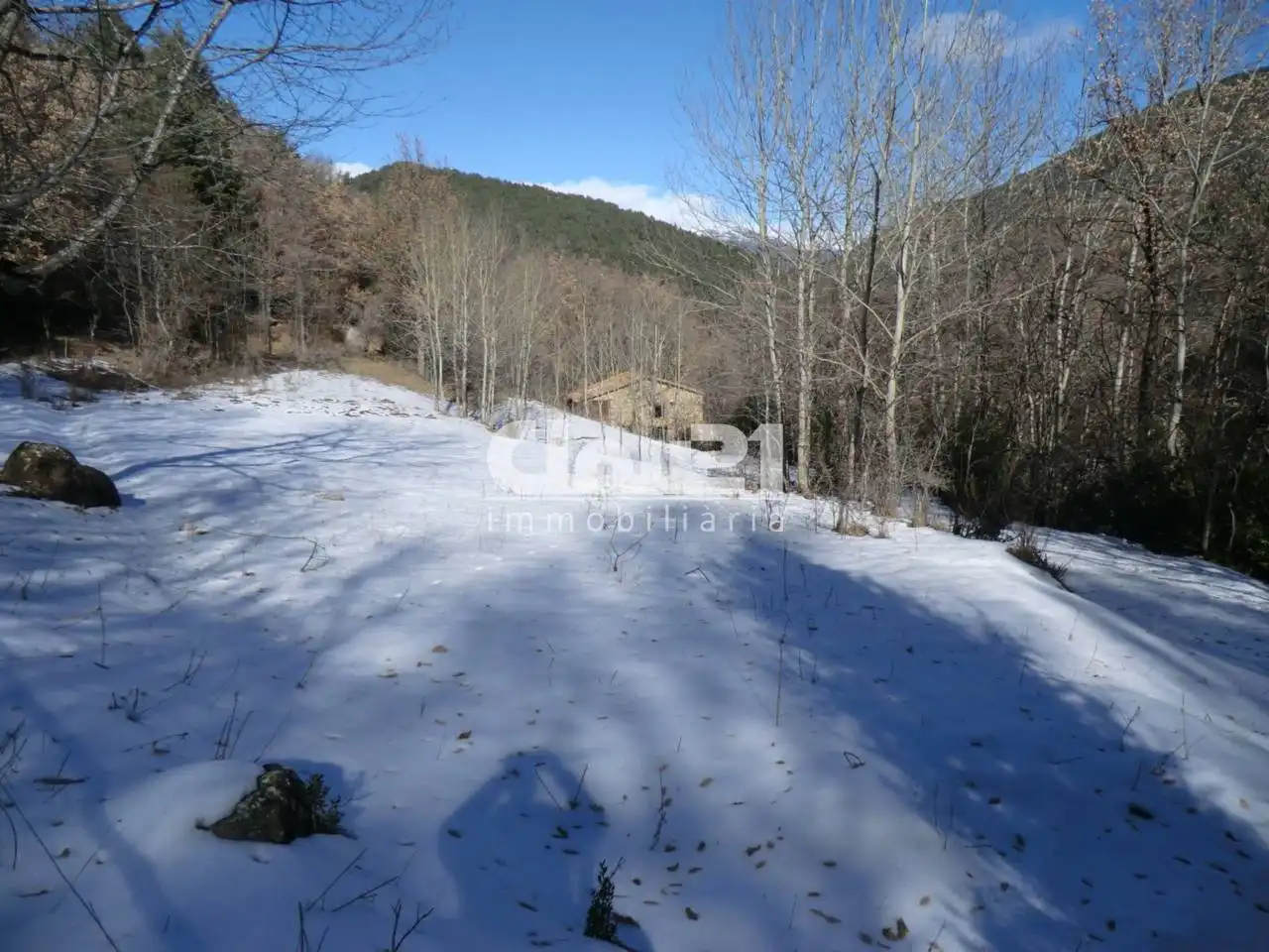 Casa o xalet en venda en Montellà i Martinet