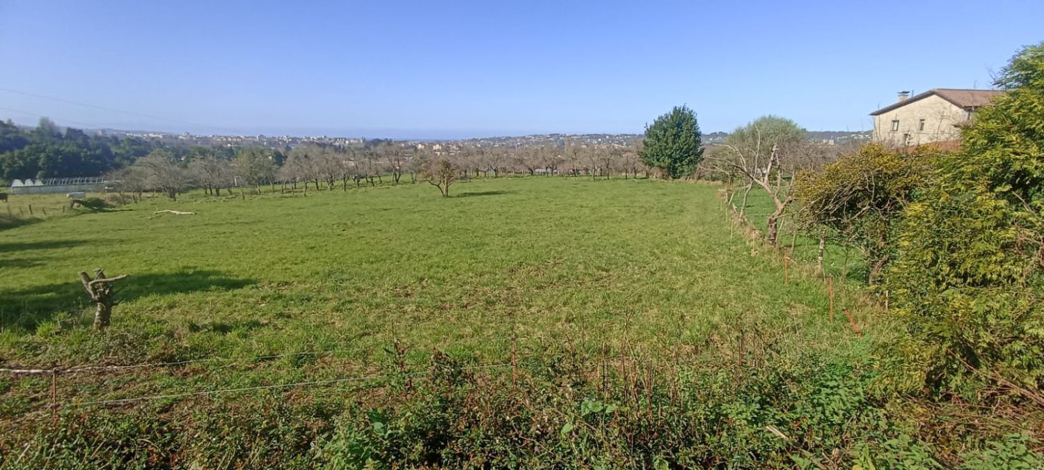 Country house zum Verkauf in Bernueces