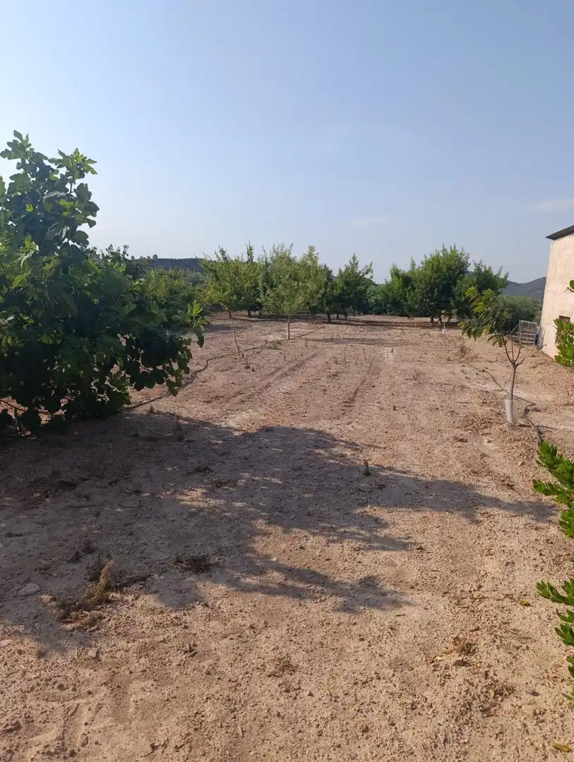 Country house zum Verkauf in Bullas