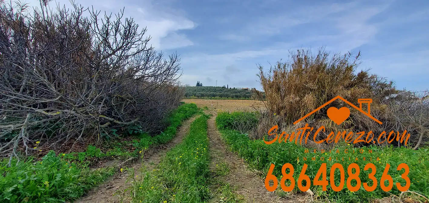 Grundstücke und Bauplätze zum Verkauf in Montilla, imagen 3