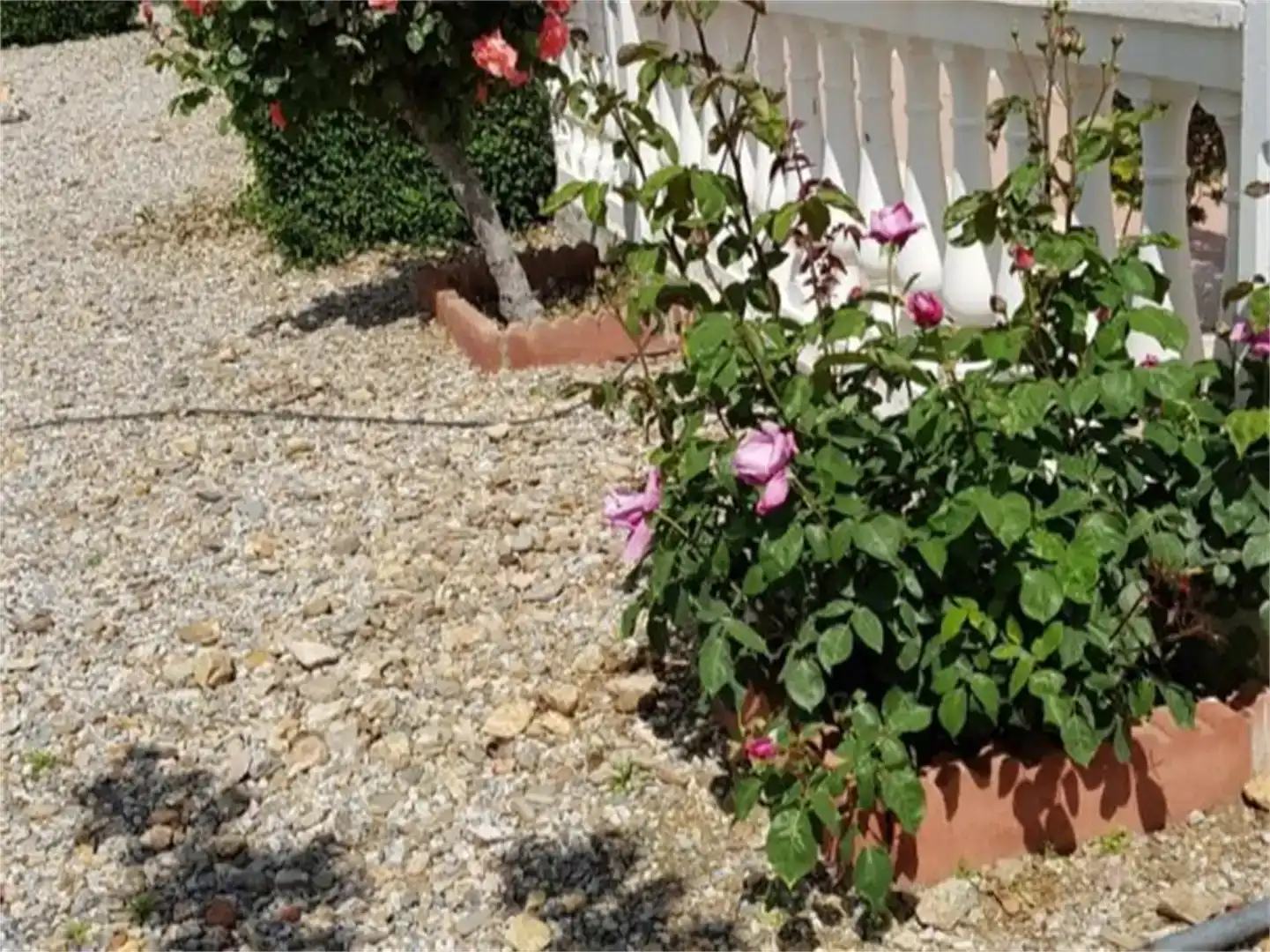 Jardí de Finca rústica en venda en Guadix amb Aire condicionat, Jardí privat i Piscina