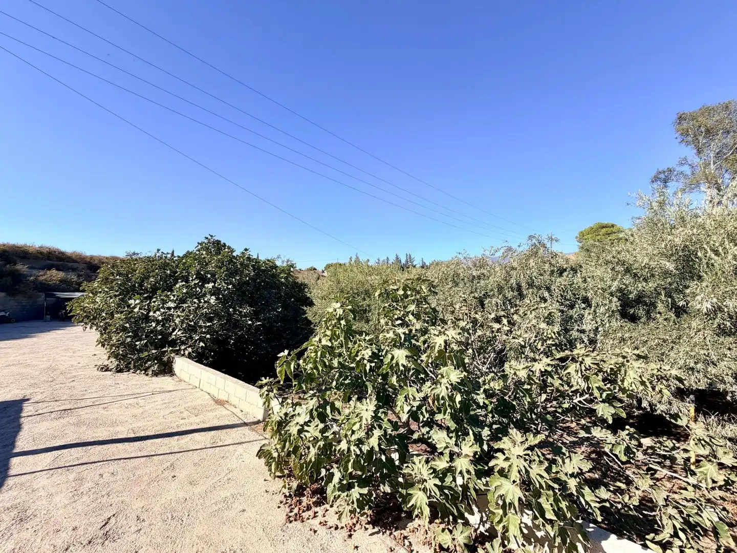 Country house with garden for sale in Pechina, imagen 47