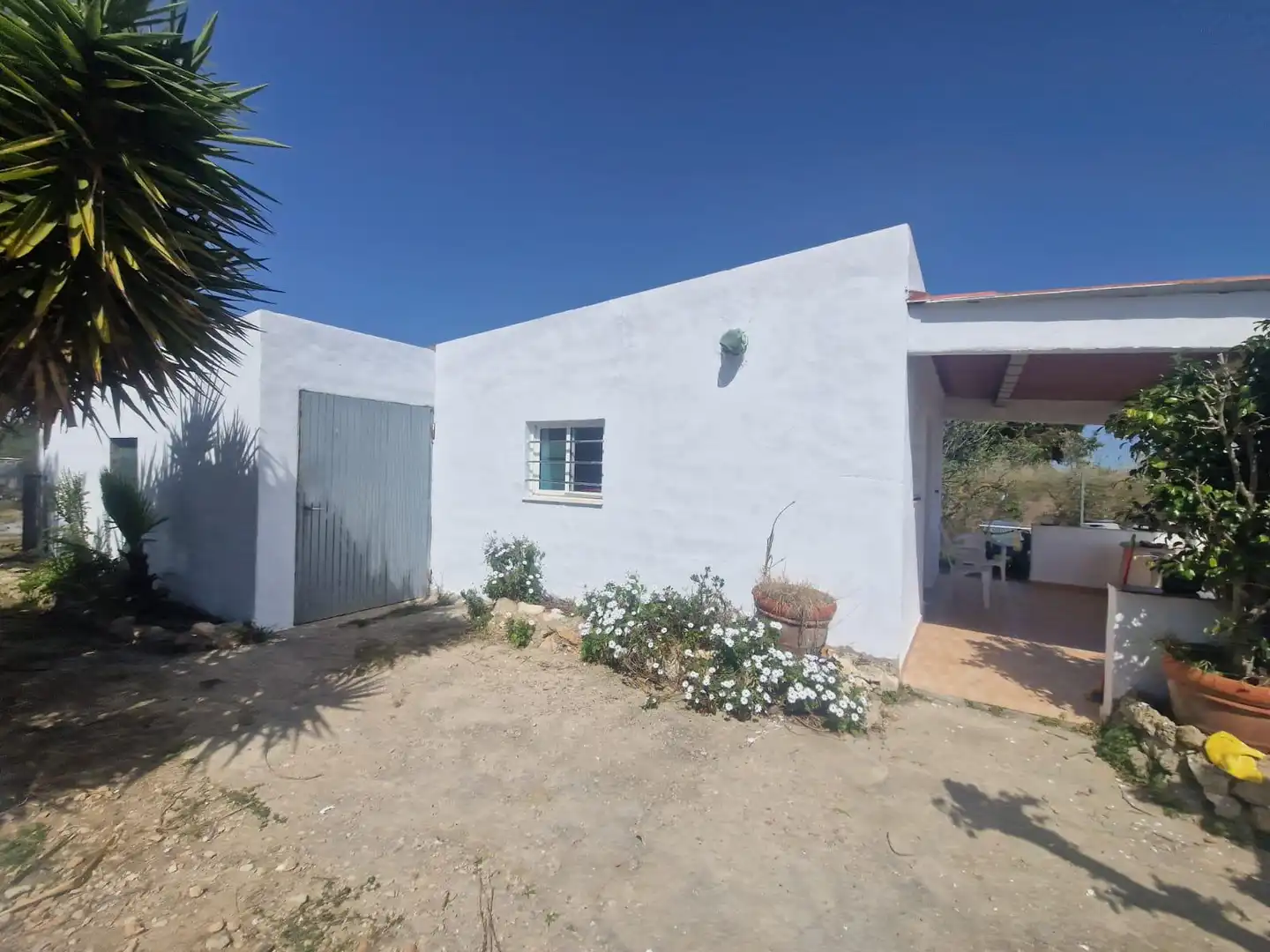 Vista exterior de Finca rústica en venta en La Ràpita con Jardín privado