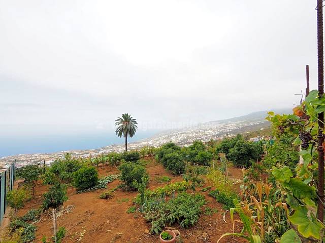 Terreno residencial en Venta en Acequia en La Corujera