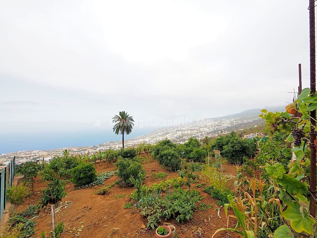 Residential for sale in Santa Úrsula