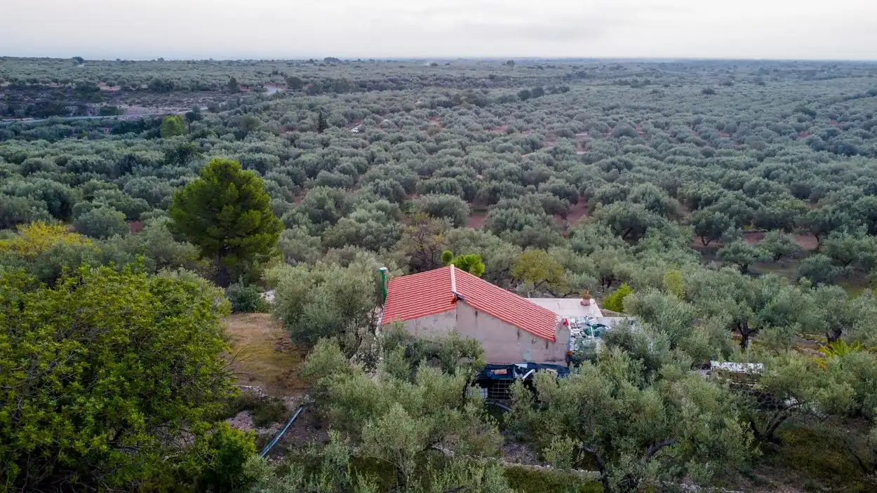 Finca rústica en venta en Mas de Barberans con Terraza y Trastero