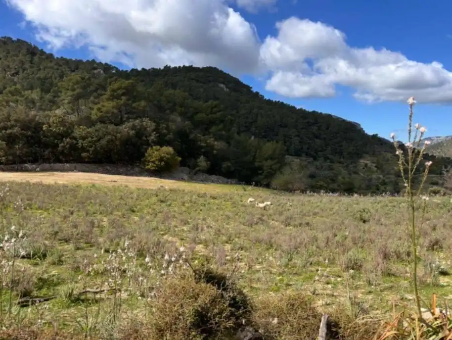 Finca rústica en venta en Mancor de la Vall