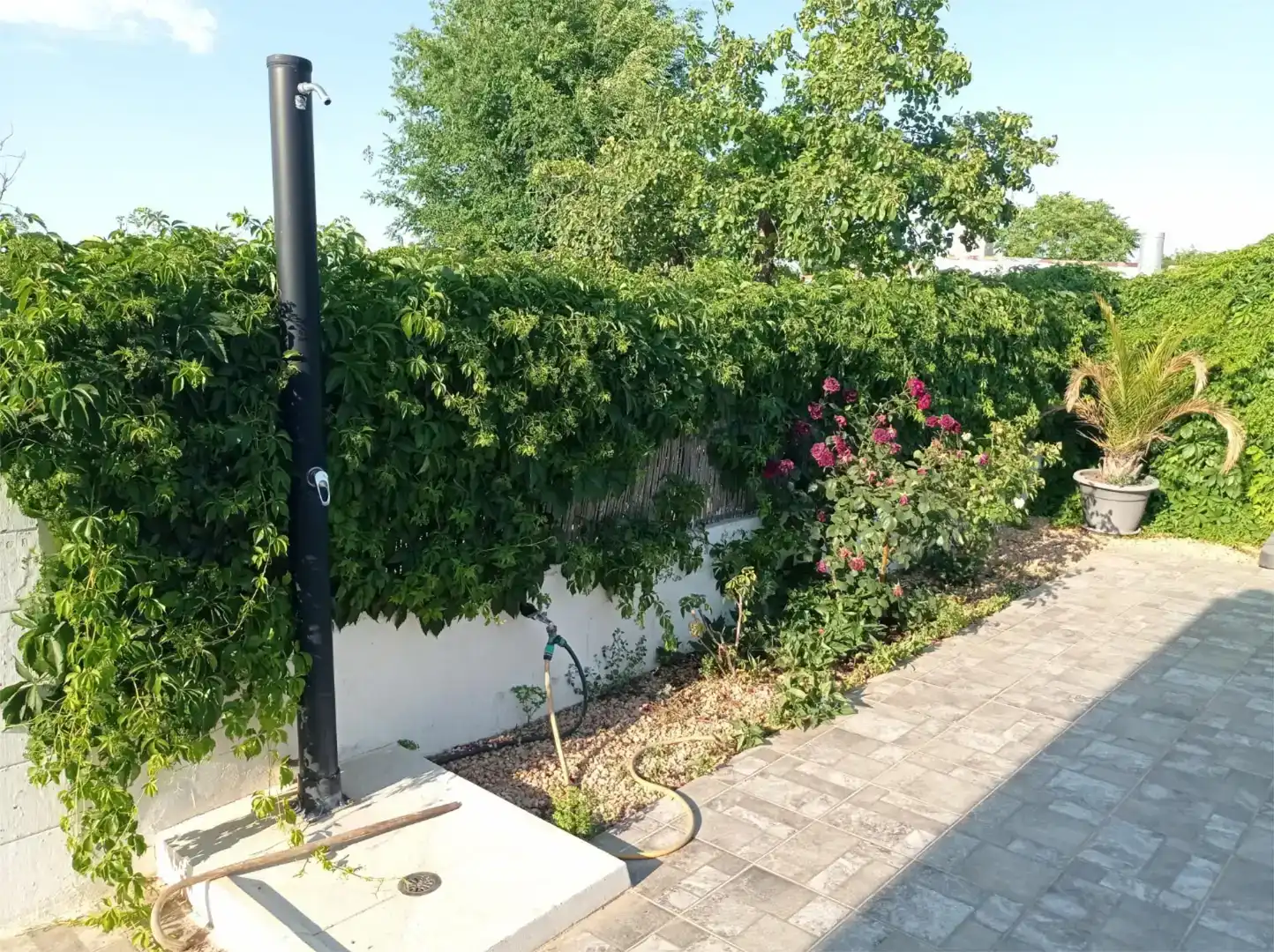 Casa o xalet en venda en Argamasilla de Alba amb Aire condicionat i Piscina