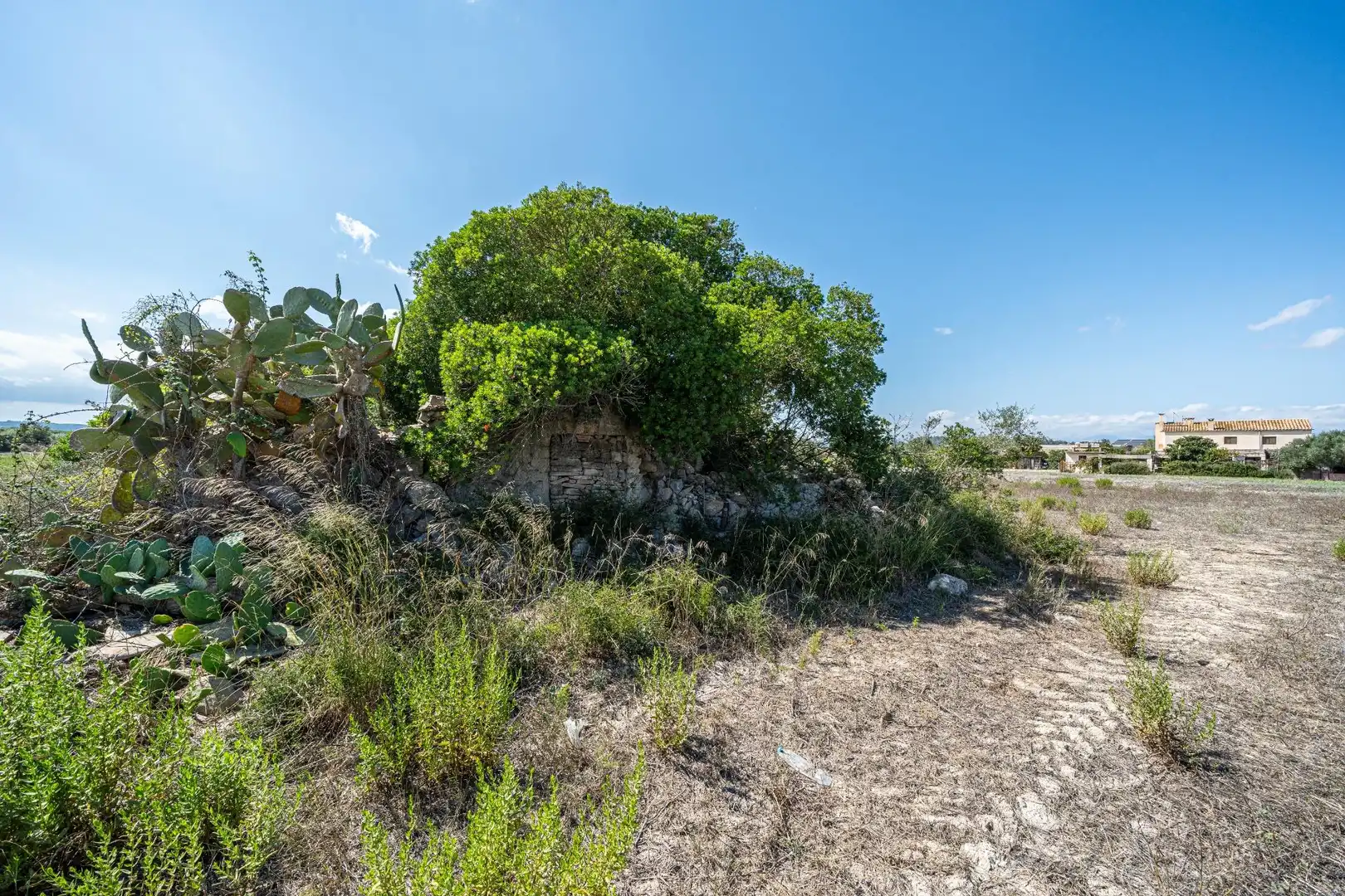 Rustikales Grundstück zum Verkauf in Polígono Sant Joan, imagen 5