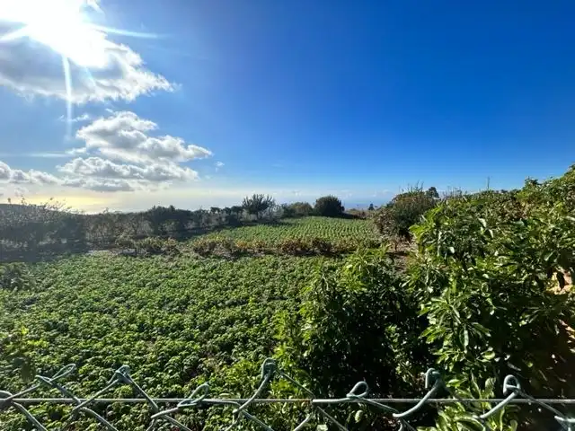 Land for sale in Granadilla de Abona