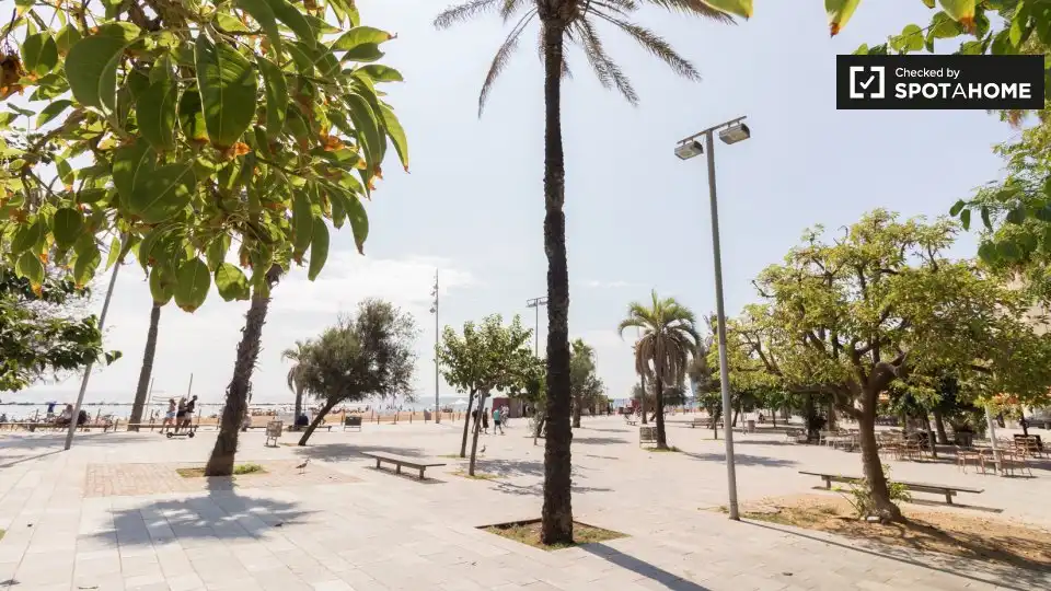 Piso con terraza en alquiler en Ciutat Vella, imagen 4