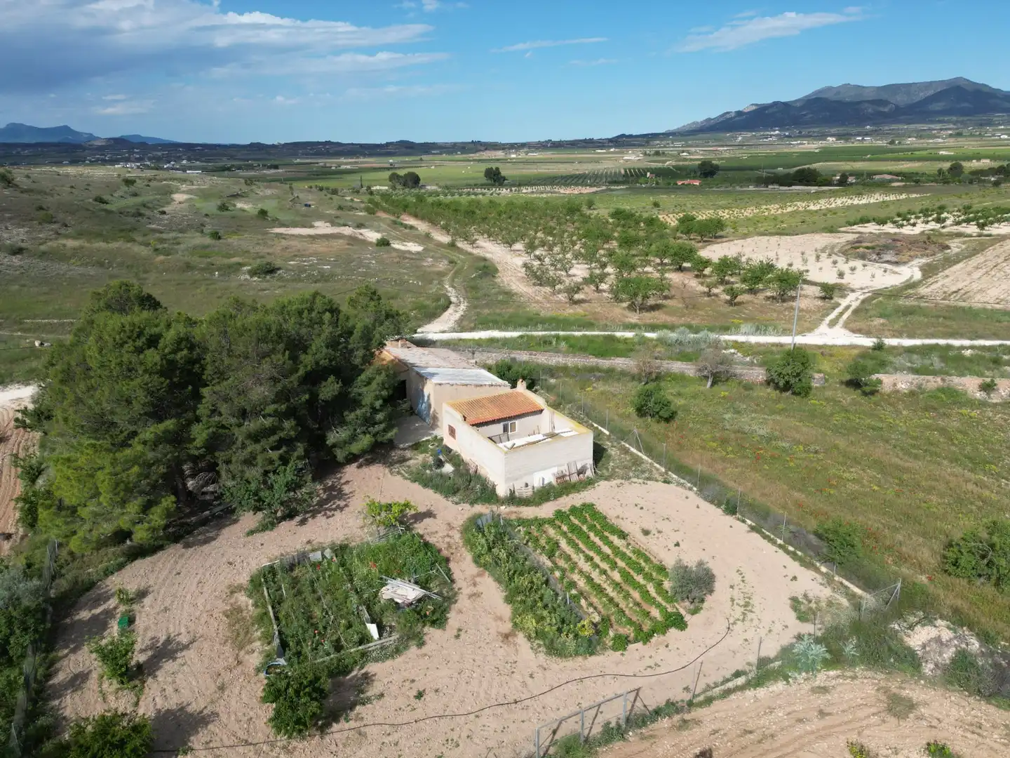 Terreno residencial en venta en El Pinós / Pinoso, imagen 4