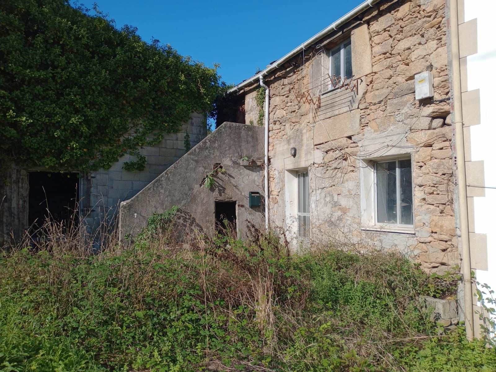 Vista exterior de Finca rústica en venta en Cervo