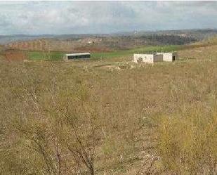 Land for sale in Llera