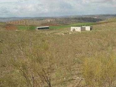 Rural land for sale in Calle Ramón y Cajal