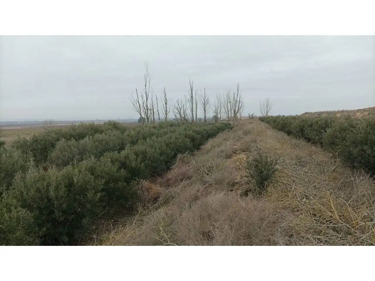 Terreni e lotti in vendita a Albalate de Cinca, imagen 4