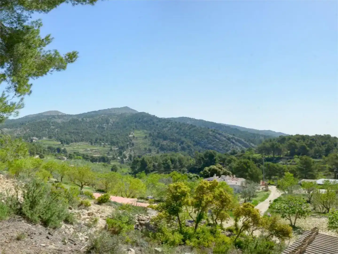Casa o chalet en venta en Ibi con Piscina