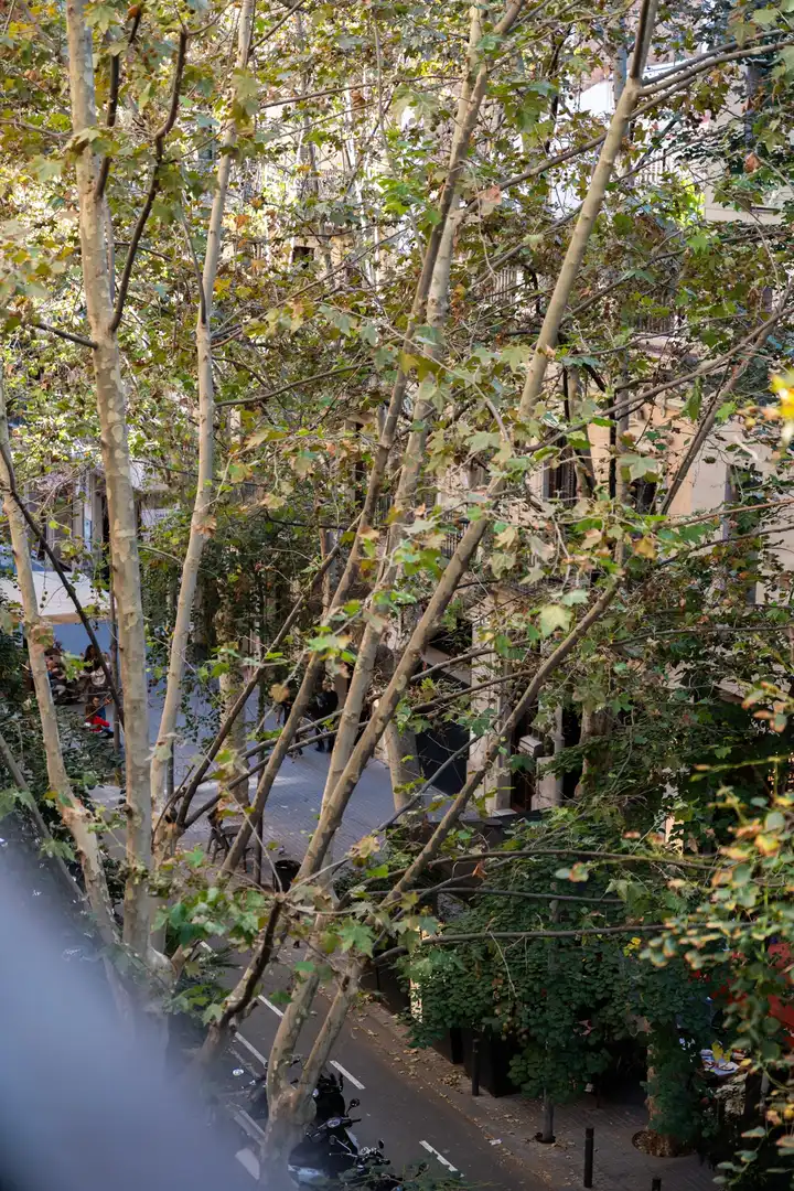 Pis amb ascensor en venda a Carrer d'Enric Granados, imagen 21