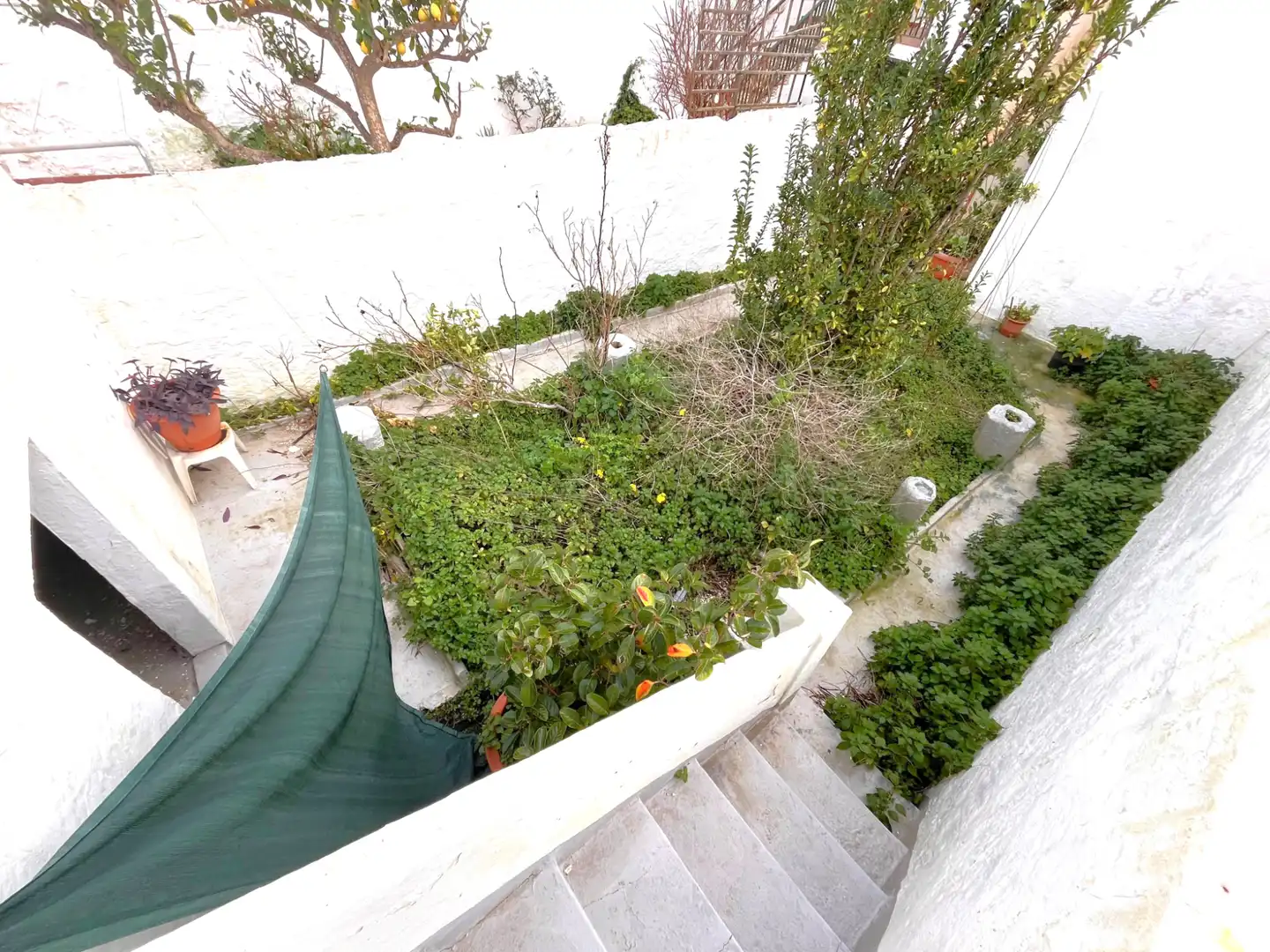 Jardí de Casa o xalet en venda en Maó - Mahón amb Jardí privat i Terrassa