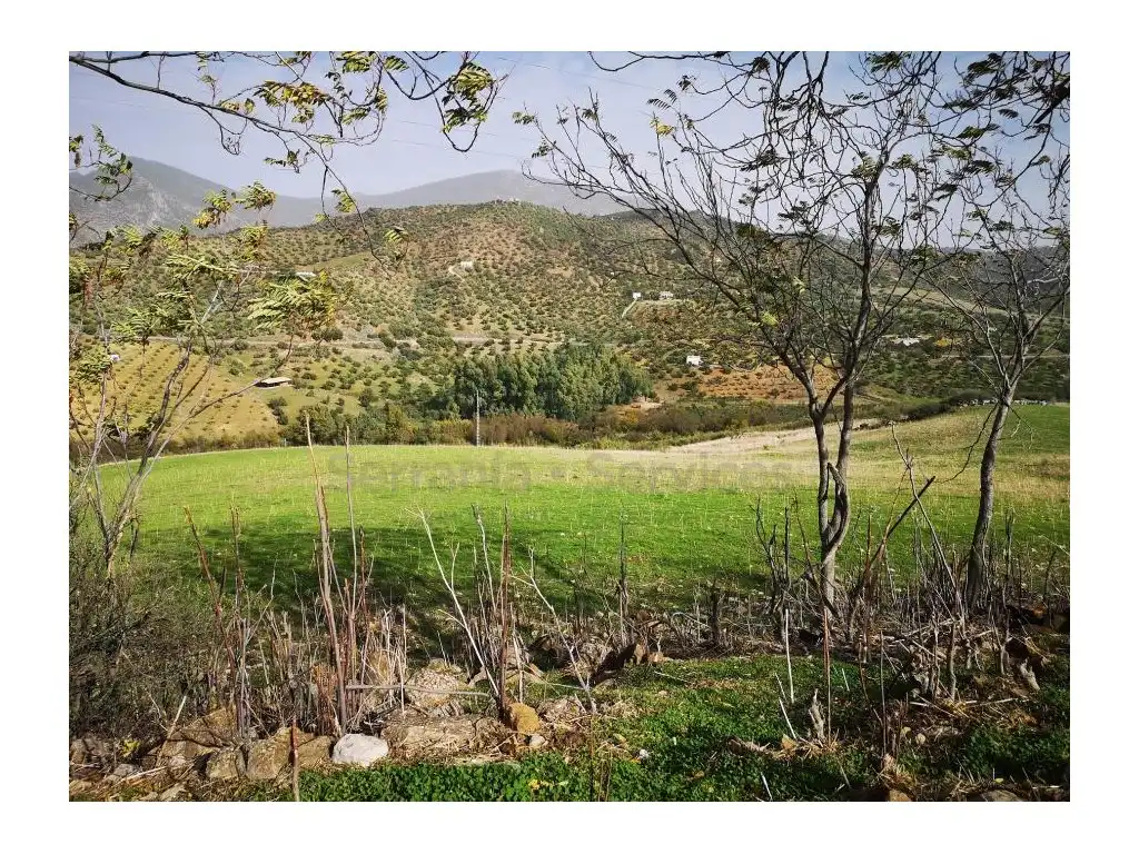 House for sale in Zahara, imagen 4