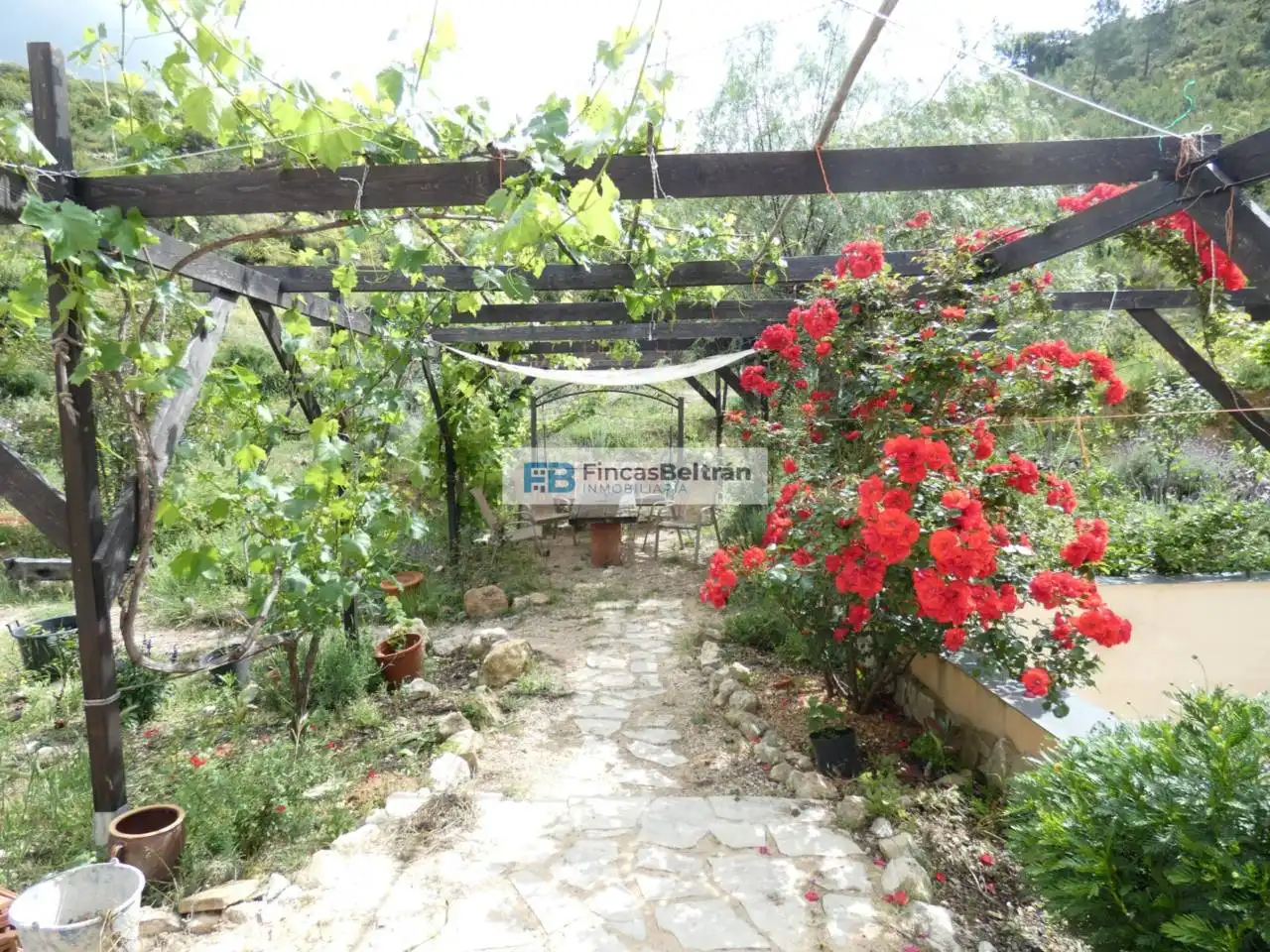 Jardí de Casa o xalet en venda en Cervera del Maestre amb Calefacció, Jardí privat i Terrassa
