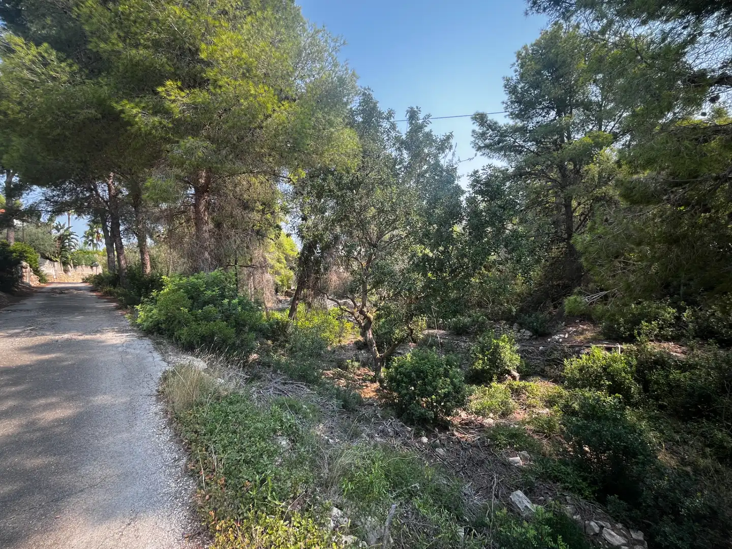 Terreny residencial en venda a Carrer Peixos 1, imagen 5