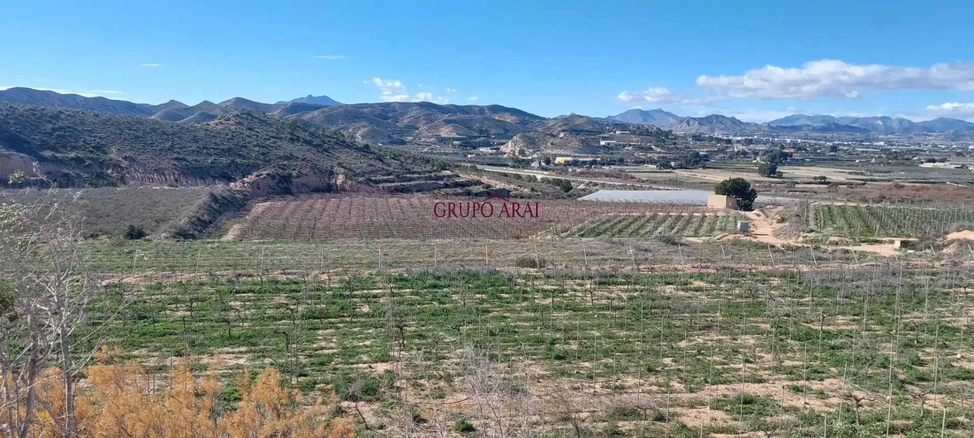 Terreno rústico en venta en Avenida del Mediterráneo, imagen 12