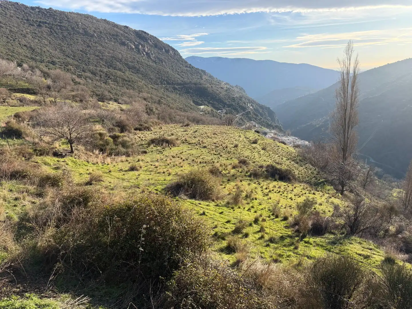 Rural land for sale in Bubión, imagen 2