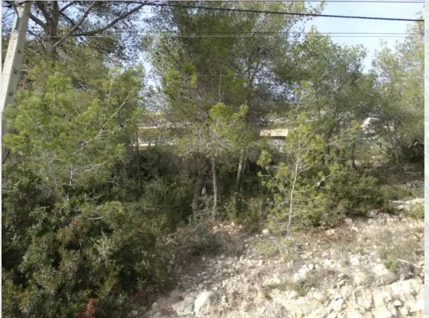 Lands and plots for sale in Olivella, imagen 5