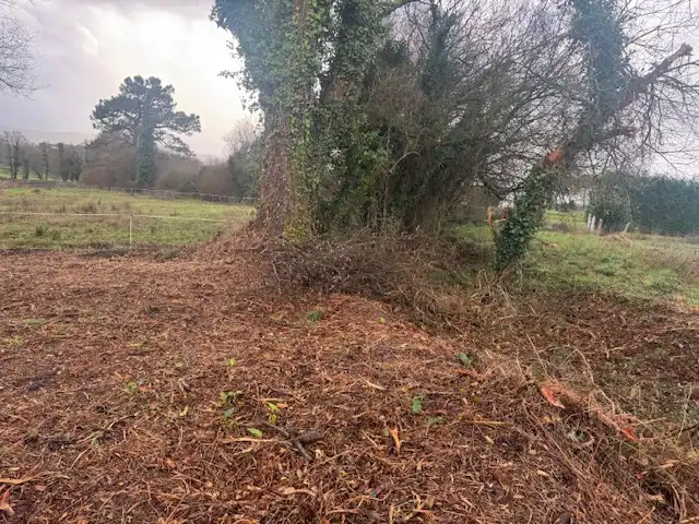 Terreno residencial en venta en Castropol, imagen 17