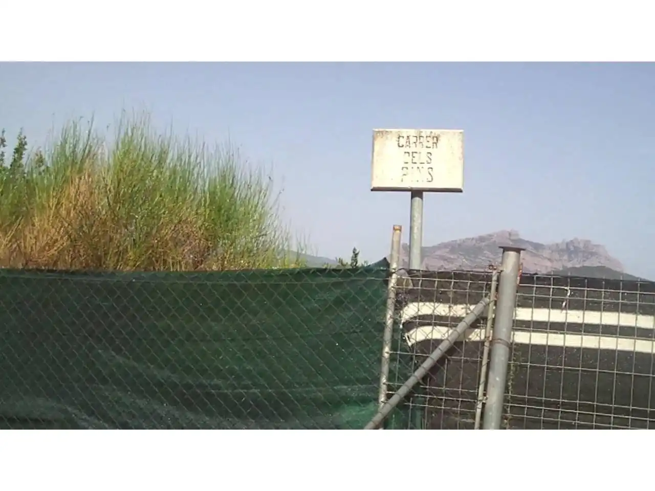 Rural land for sale in Calle Pins, imagen 6