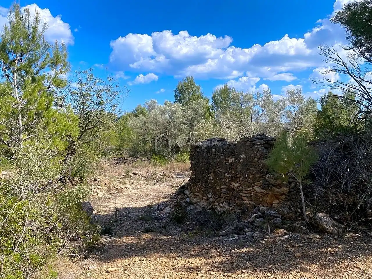 Terreno rustico in vendita a Ligallo de les Bordes, imagen 9