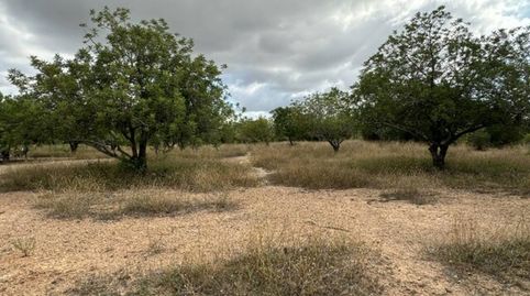 Photo 5 of Land for sale in Camino la Formiga, Vila-seca Poble, Vila-seca