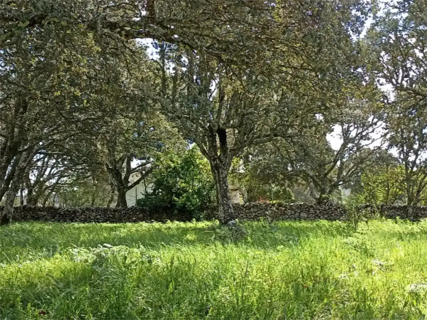 Planta baja en venta en Membribe de la Sierra con Amueblado