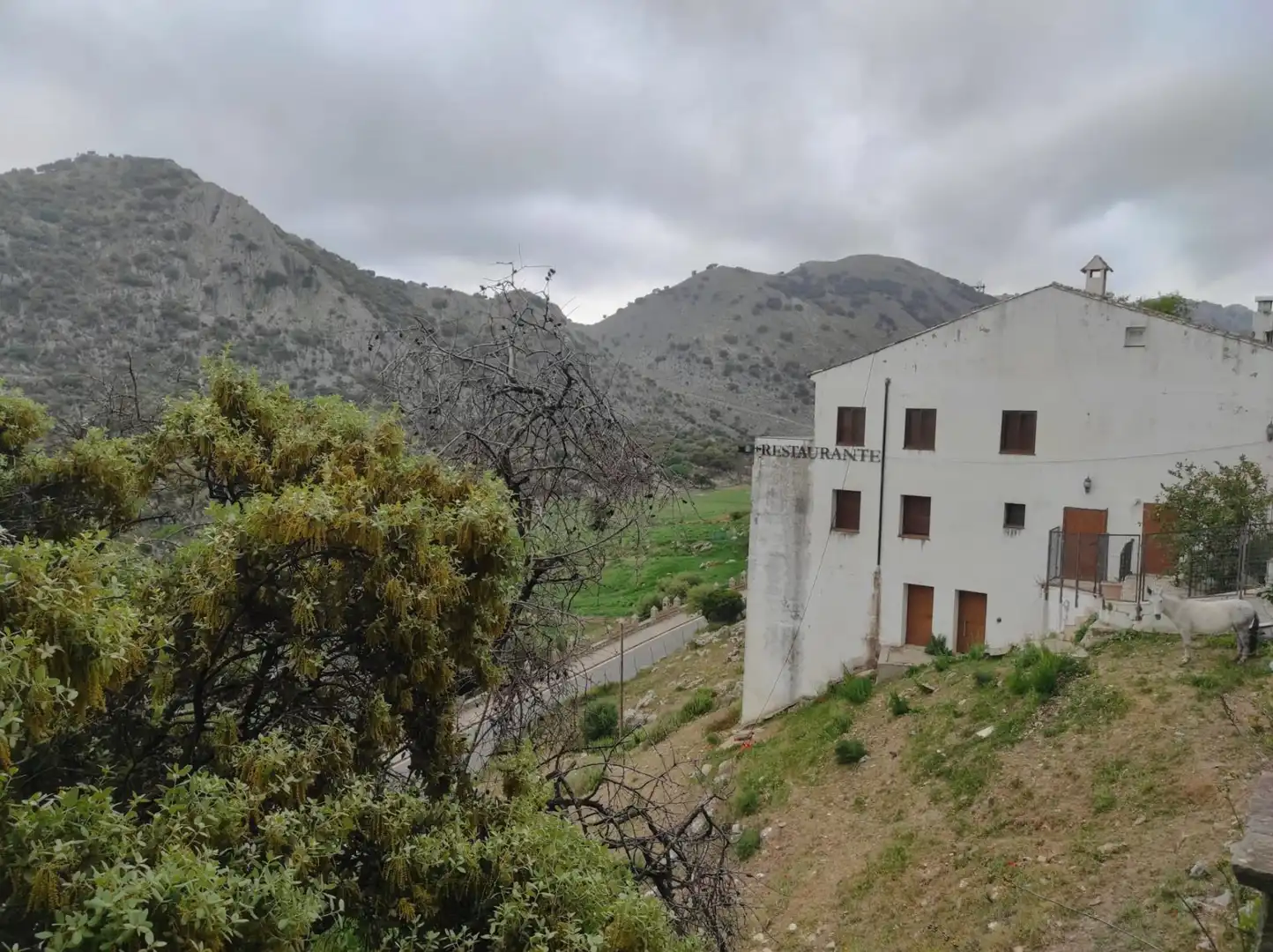 Casa rústica en venda a Villaluenga del Rosario, imagen 23