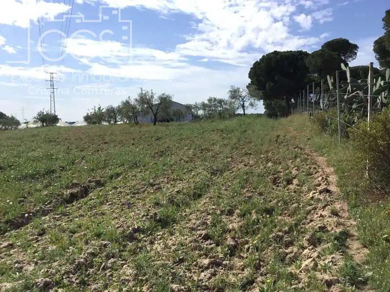 Finca rústica en venda en Almonte amb Terrassa i Moblat