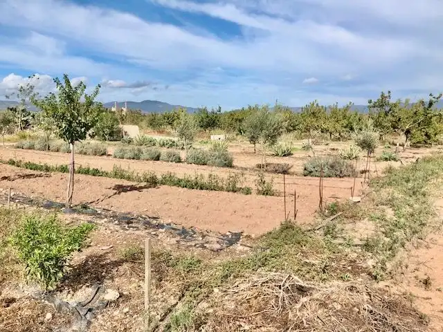 Casa rústica con terraza en venta en Llevant, imagen 38