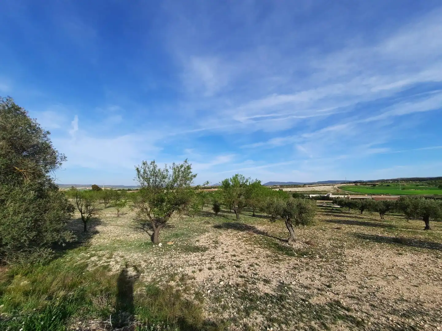 Rustikales Grundstück zum Verkauf in Almansa, imagen 9