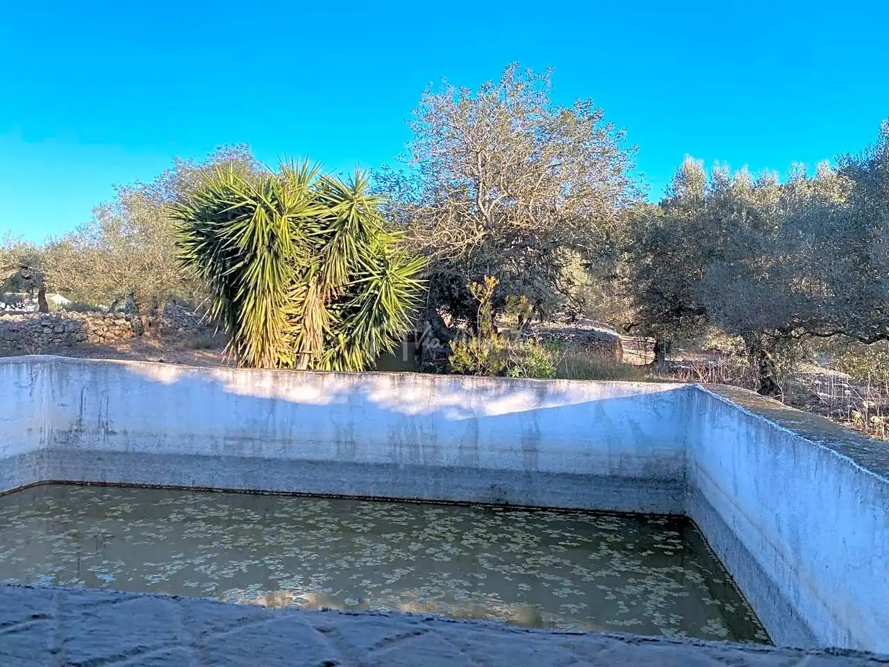 Terreno rustico in vendita a Aubach, imagen 15