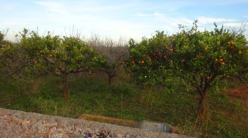 Foto 2 de Terreno en venta en Madrigal, Vila-real