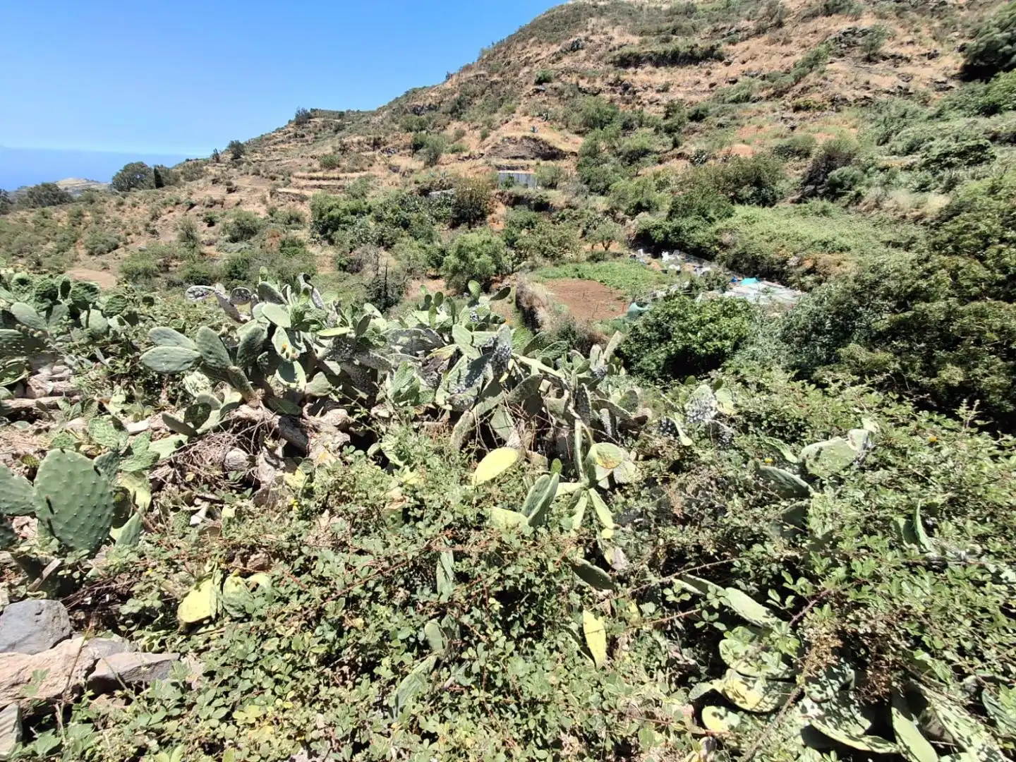 Residential for sale in Vega de San Mateo