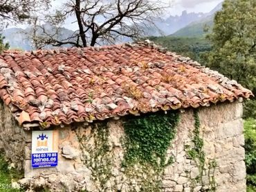 Terreno rustico in vendita a N/A