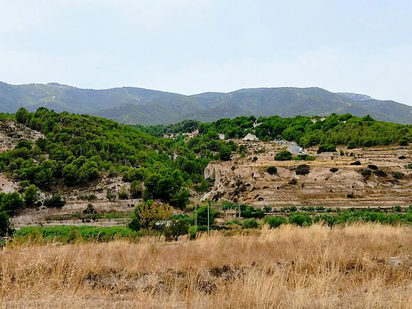 Terreno rustico in vendita a Lugar Castillo, imagen 12