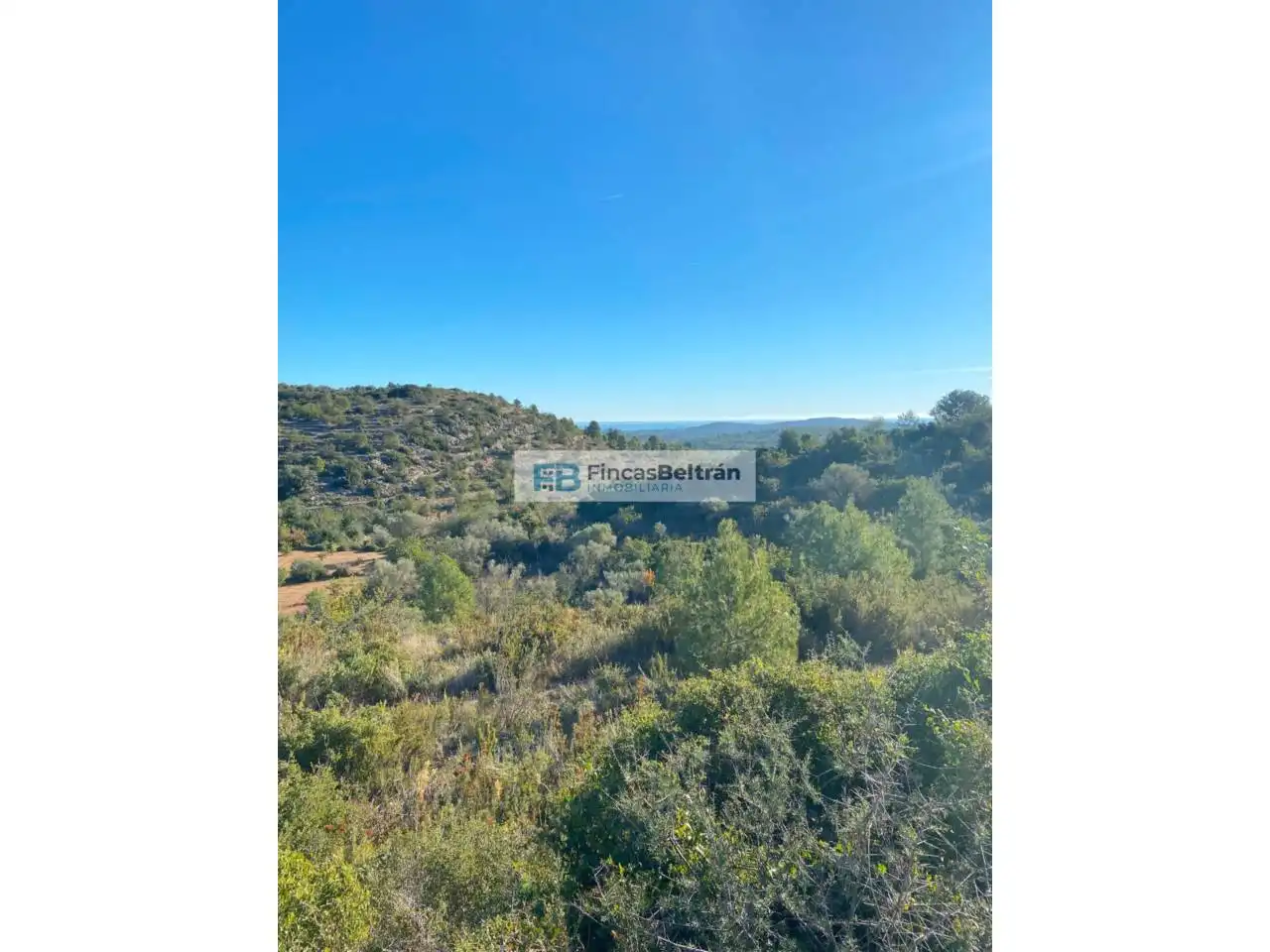 Rural land for sale in Poligono 36, parcela 240, imagen 12