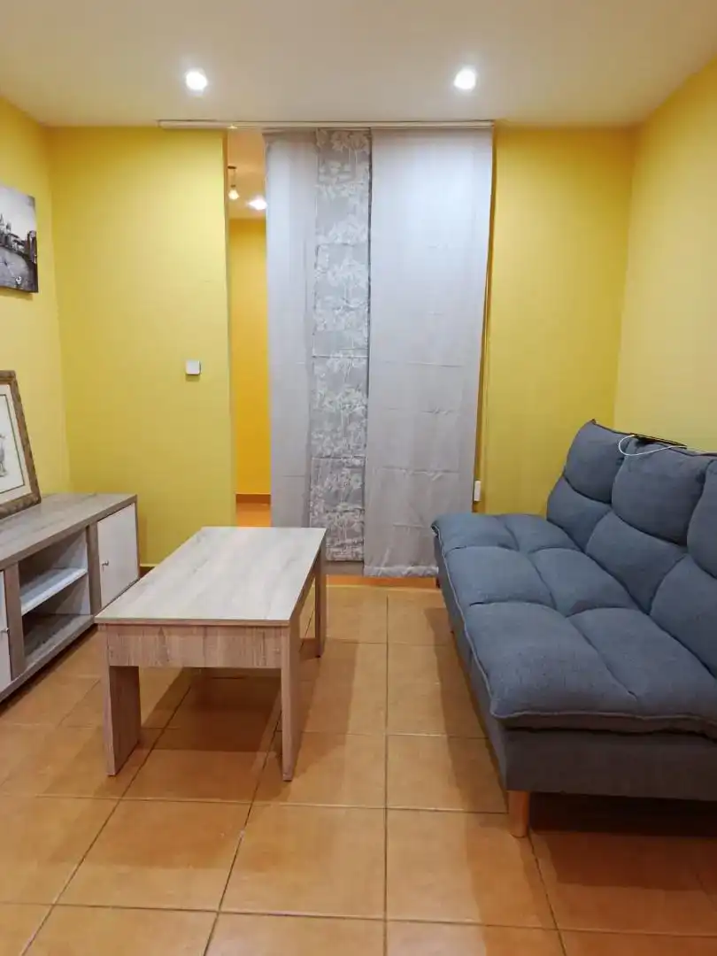 Wohnzimmer von Wohnungen zur Miete in  Madrid Capital