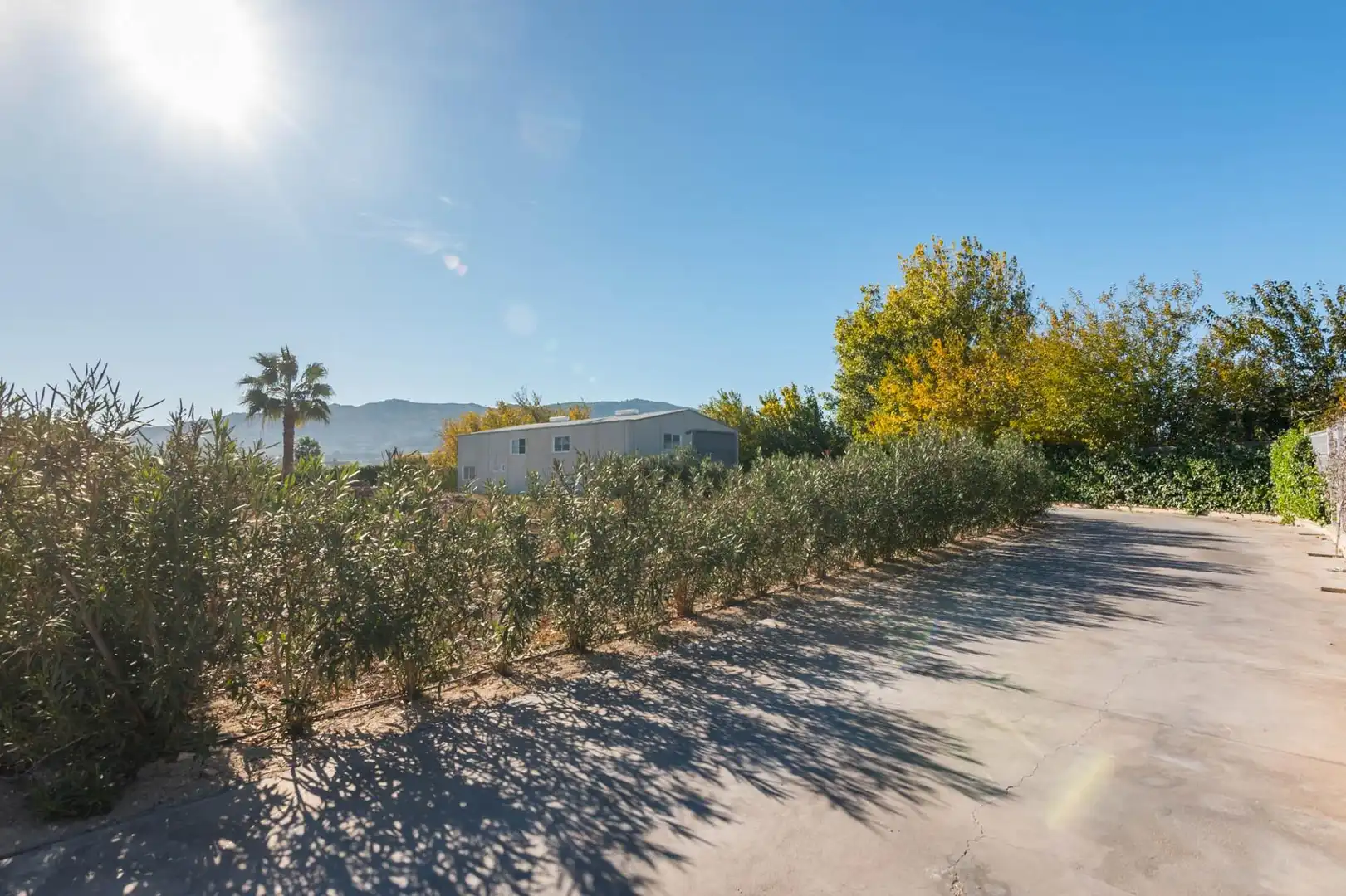 Chalet con piscina en venta en Pedanías Este, imagen 41