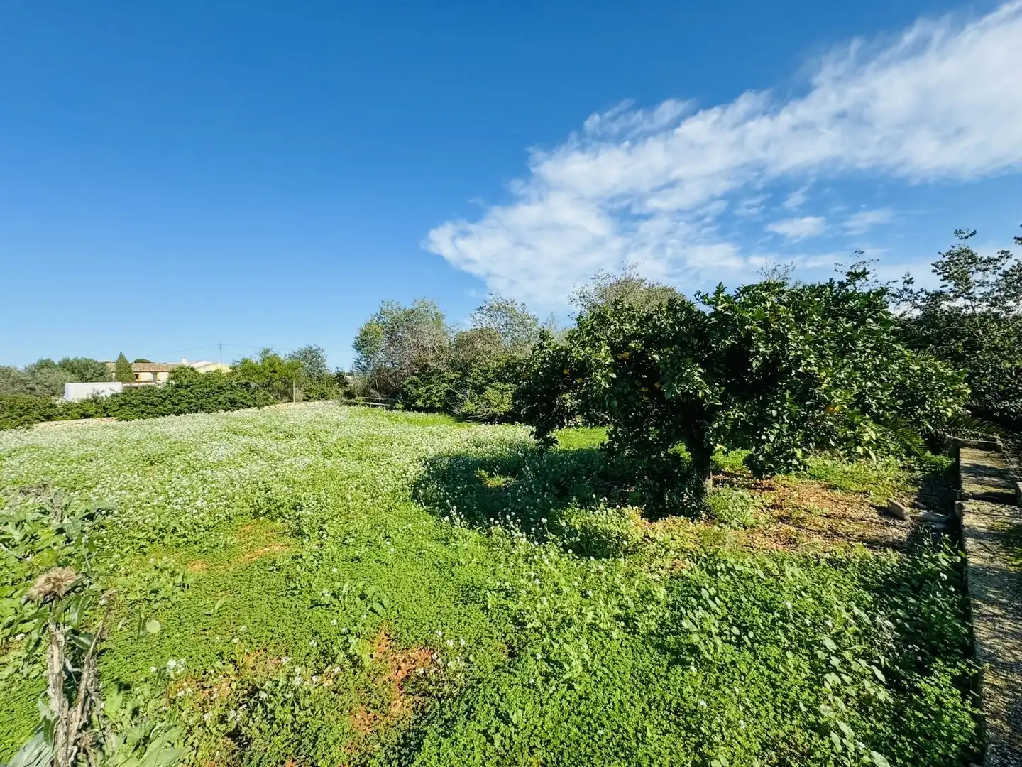 Villa mit Garten zum Verkauf in La Xara - La Sella, imagen 22