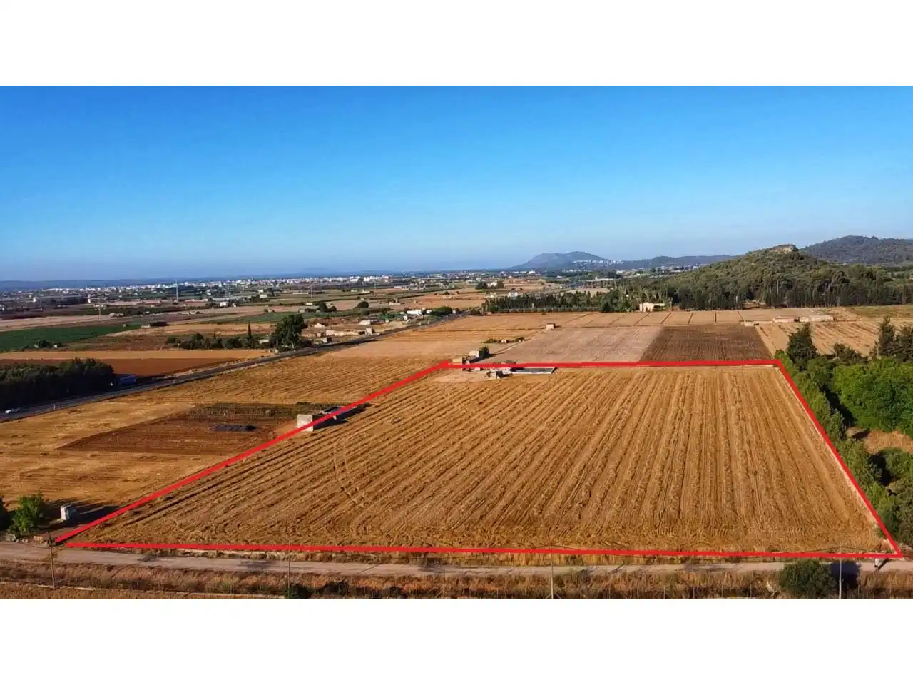Rural land for sale in Sa Pobla, imagen 8