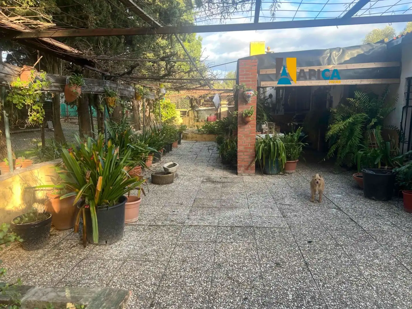 Houses for sale in Medina Sidonia  with Terrace and Furnished