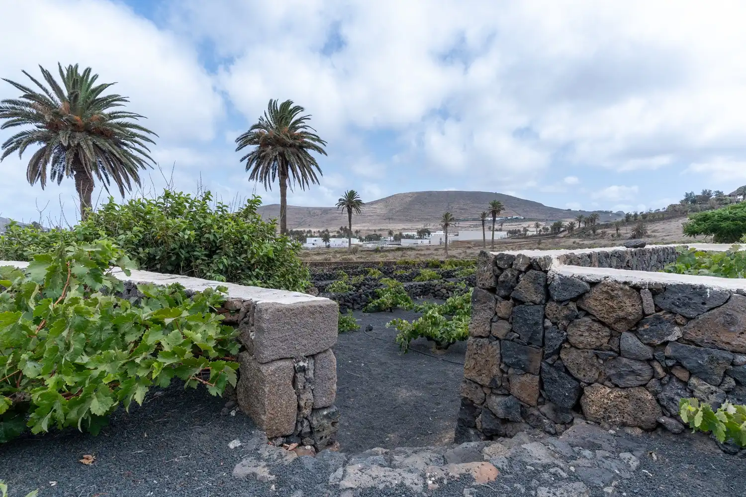 Exterior view of Country homes for sale in Haría pueblo